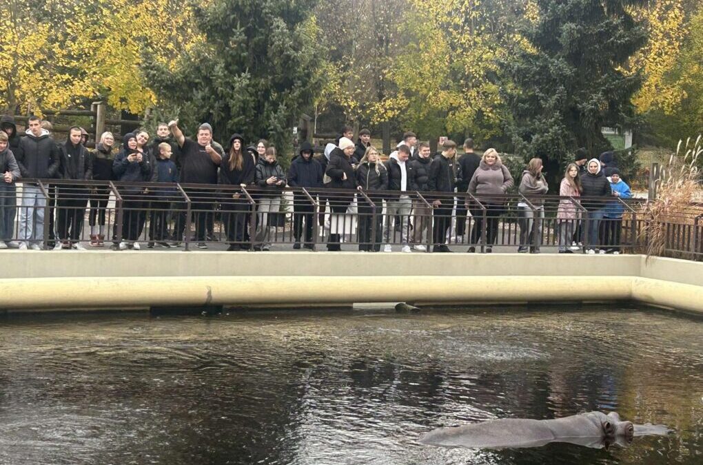 Jesienna wycieczka internacka do Warszawskiego ZOO i Suntago – nauka, relaks i integracja!